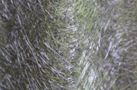 Longdon Green fibreglass roof work